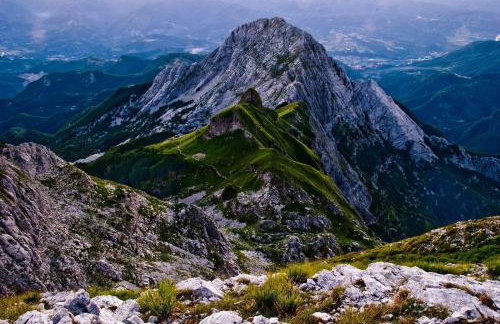 Grillo Rosso Taverna - Foto 14