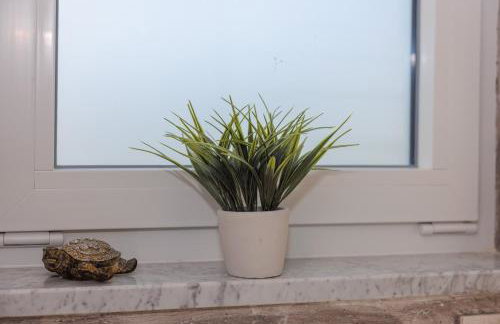 Villa Stanic - Foto 64