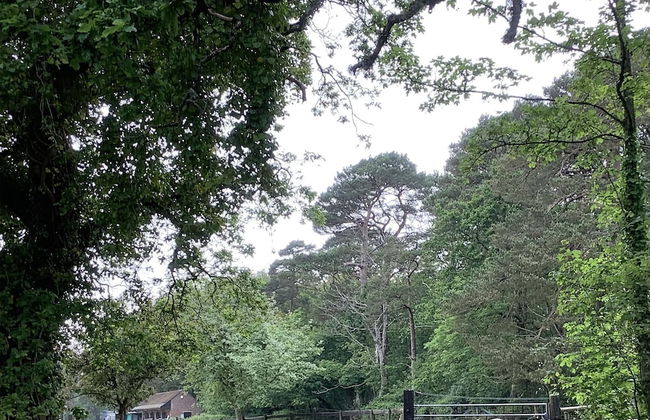 Beautiful 1-bed Apartment in Wareham,dorset - Foto 26