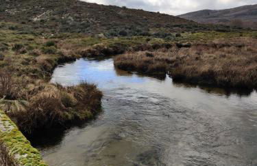 Casa do Sobrado-Gralhas-Montalegre - Foto 35