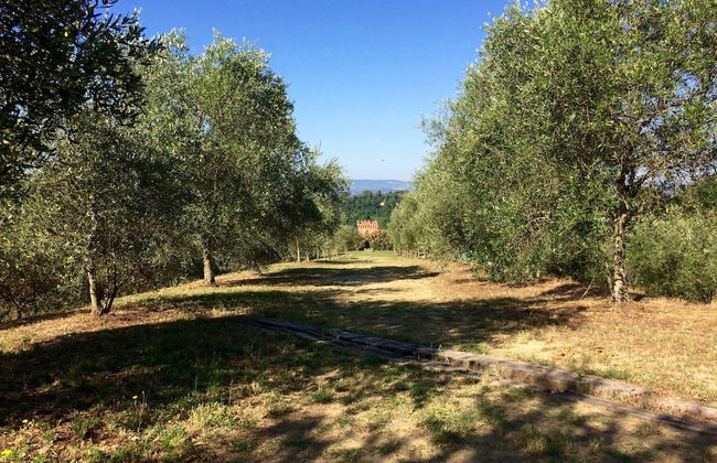 Agriturismo La Palazzina - Foto 72