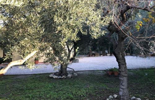 L'Ulivo in Villa Greco - Foto 46