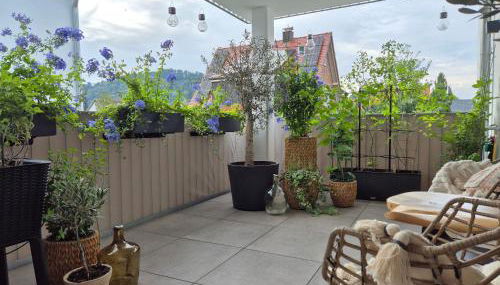 FeWo Bodensee Base - Foto 4