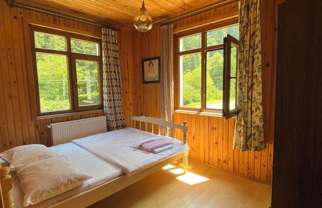 Nanus Ayder Suit - Photo 9