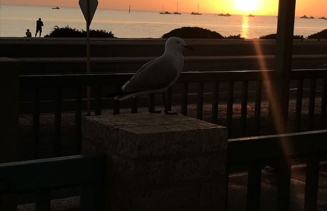 Shark Bay Seafront Apartments - Photo 45