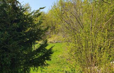 Holiday Home Modruš - Foto 71