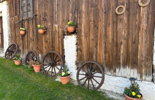 Dom Pod Dębem Agroturystyka - Foto 16