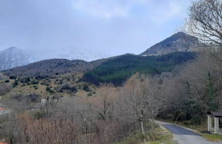 Kria Vrisi - Foto 24