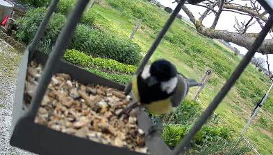 Appartamento Venturina Terme - Foto 2