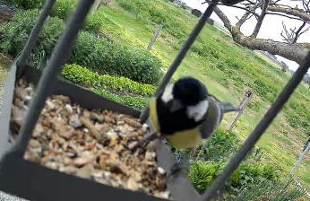 Appartamento Venturina Terme - Foto 2