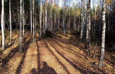 Siedlisko Czarny Dzięcioł - Foto 23