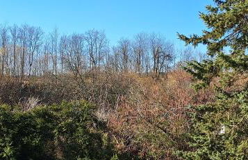 Ferienwohnung Ravelblick - Foto 8