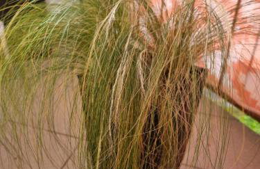 Apartament Luxusowe Karkonosze - Foto 34