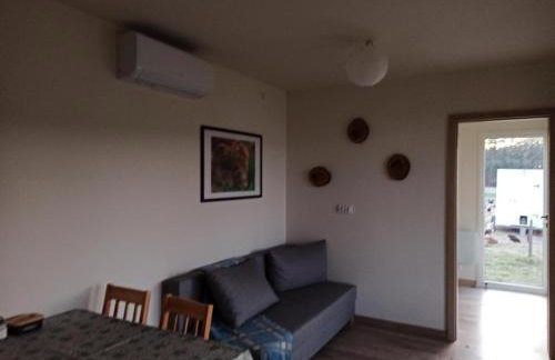 Chabrowa Polana domek - Foto 1