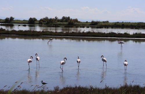 Il nido di Spina - Foto 16