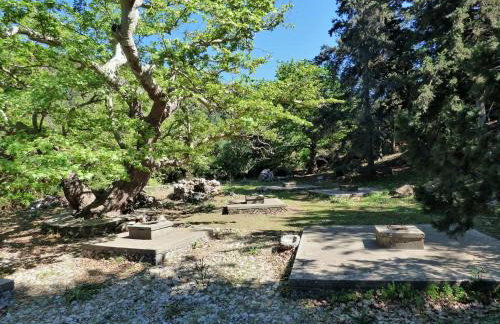 Evaggelias Home Gavalochori - Foto 32