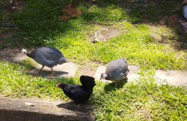 Canto da Pedra Visconde de Mauá - Foto 56