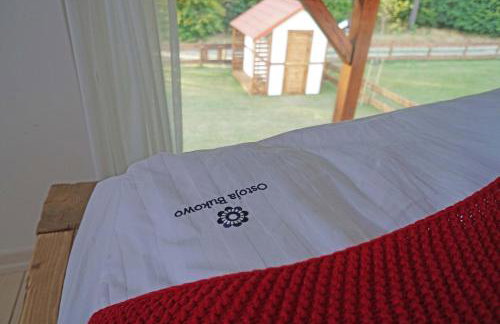 Ostoja Bukowo, Domek 9,1 'Stilia' - Foto 39