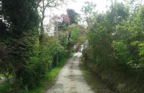 Appartamento in Villa - Foto 32