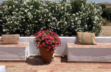 Monte Capitão Country house - Foto 18