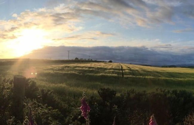 Carr's Hill Luxury Safari Tents - Foto 16