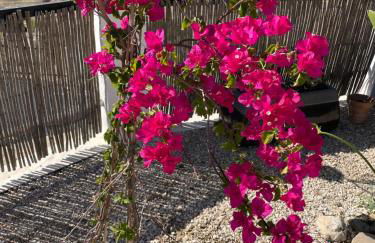 CASITA OASIS - Foto 29