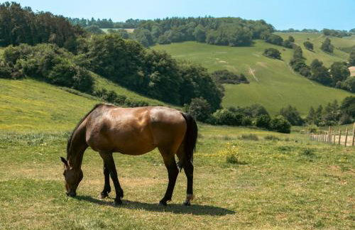 Watermead Lodge - Foto 26