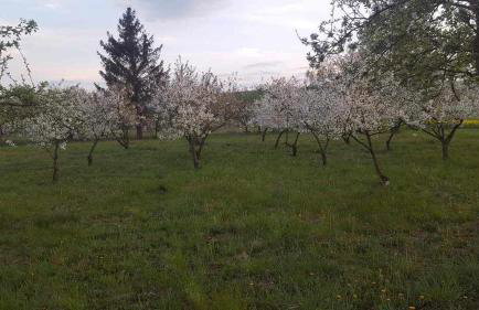 Agroturystyka u podnóża Gór Sowich - Foto 22