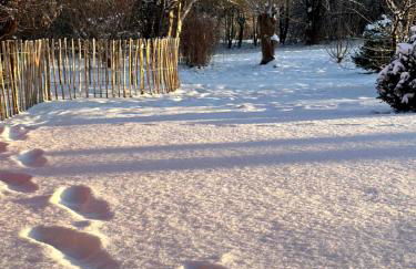Ferienhaus am Saaler Bodden - Foto 28