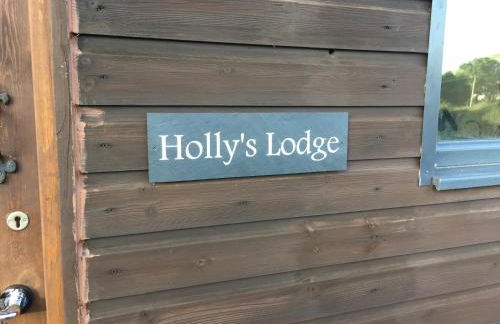 Holly's Lodge - Photo 2