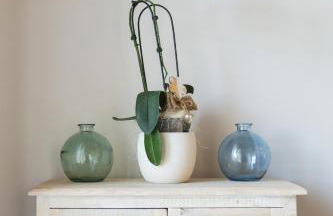 Col di Pietra - Foto 21