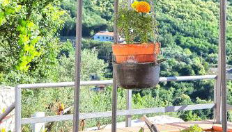 Tenuta Buonocore - Foto 4