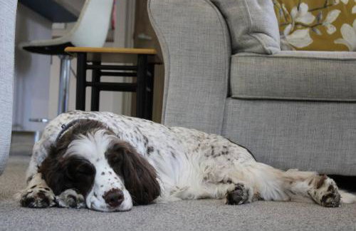 Platinum lodge on Carlton Meres holiday Park - Foto 28