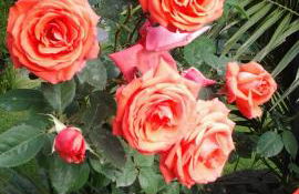 Villa Royal Etna Stars - Foto 32