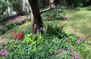 In Riva al Lago di Iseo Residenza Primo Piano - Foto 24