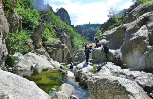 L'envol des papillons - Foto 27