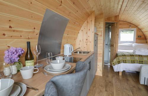 Dysynni Pod - Foto 7