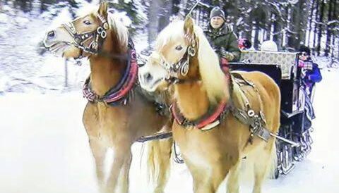 Agriturismo Prati Oitzinger - Foto 2