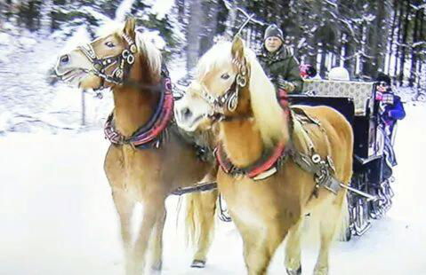 Agriturismo Prati Oitzinger - Foto 2