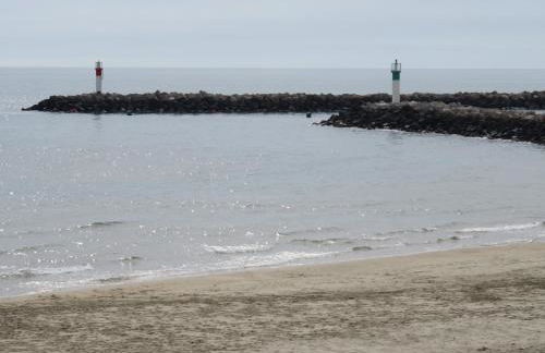 Horte neuve - Foto 54