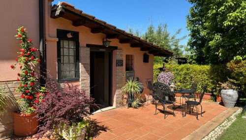 Villa Adriana House - alloggio turistico ID 18021 - Foto 3, Garden, Garden view