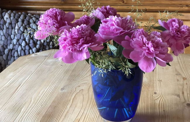 Apartment in the Waxenegg Country House - Photo 19