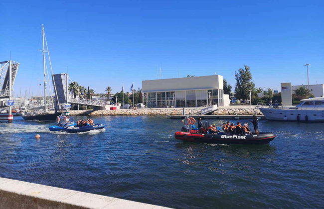 Avistamiento de delfines en Lagos - Foto 5