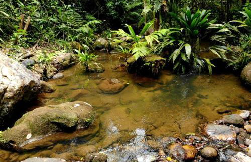 La Luciole Ecolodge - Foto 53