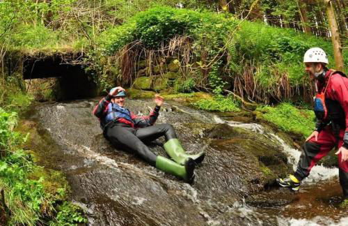 Mountain View - Photo 12