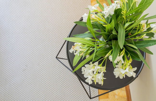 Sala Comacina Villas - Foto 26