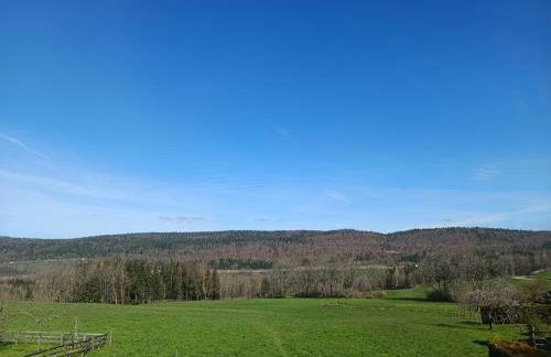 Taborda familly - Foto 12