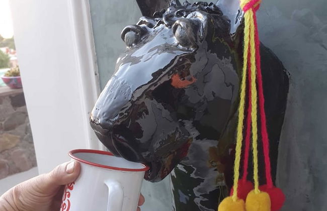 La Llama Negra - Foto 80