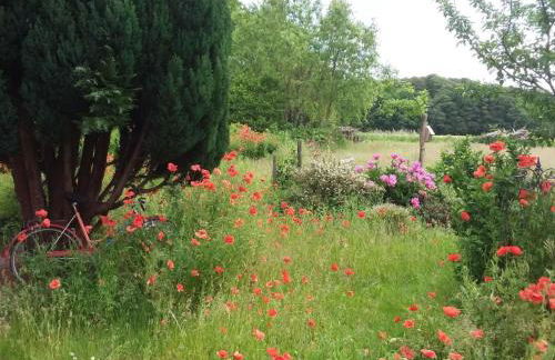 Apartment Schwalbennest by Interhome - Foto 35