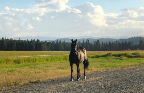 Rural Kettle Falls Bunkhouse with Airstrip and Trails! - Foto 24